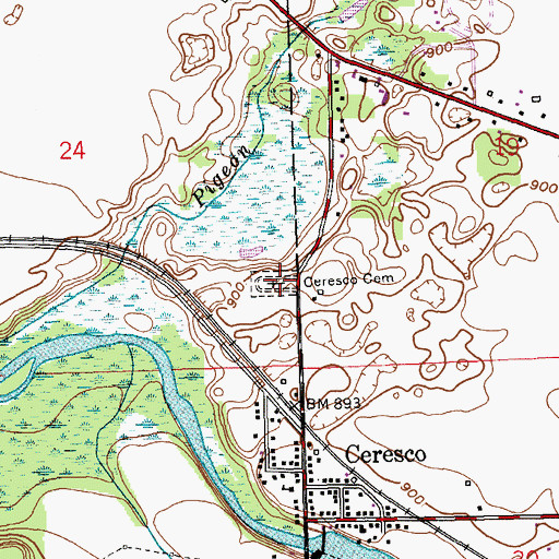 Topographic Map of Ceresco Cemetery, MI