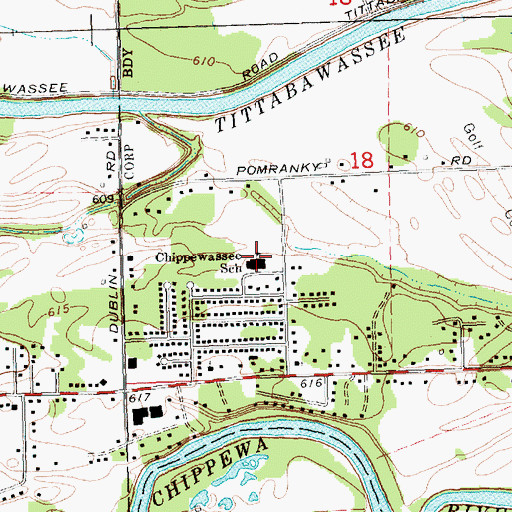 Topographic Map of Chippewassee School, MI