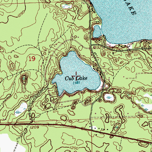 Topographic Map of Cub Lake, MI