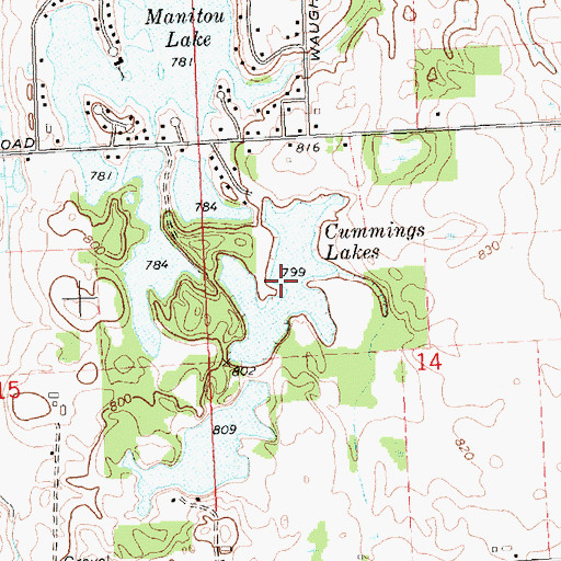 Topographic Map of Cummings Lakes, MI