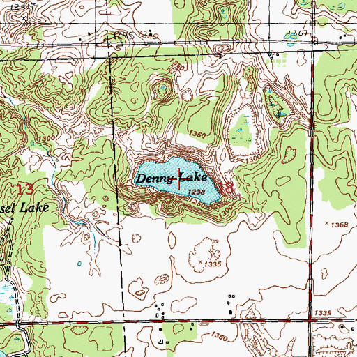 Topographic Map of Denny Lake, MI