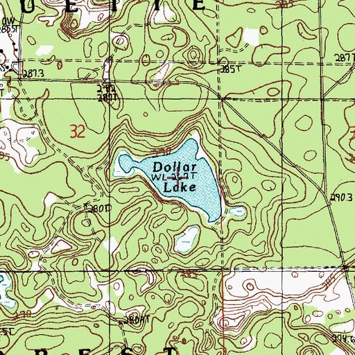 Topographic Map of Dollar Lake, MI