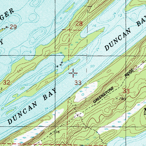 Topographic Map of Duncan Bay, MI