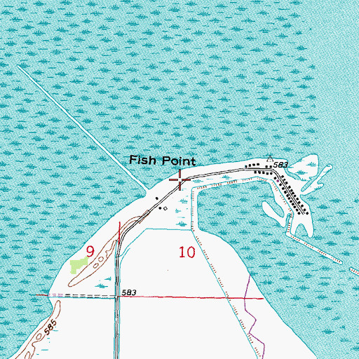 Topographic Map of Fish Point, MI