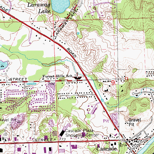 Topographic Map of Forest Hills School, MI
