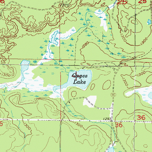 Topographic Map of Gages Lake, MI