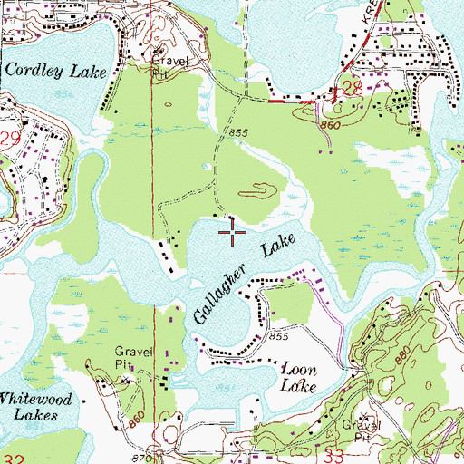 Topographic Map of Gallagher Lake, MI