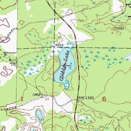 Topographic Map of Glidden Lake, MI