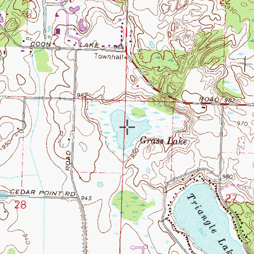 Topographic Map of Grass Lake, MI