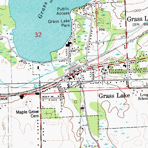 Topographic Map of Grass Lake, MI