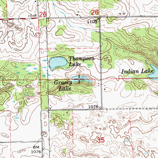 Topographic Map of Grassy Lake, MI