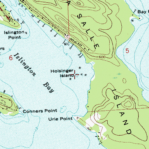 Topographic Map of Holsinger Island, MI