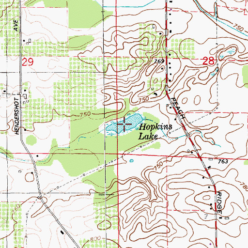 Topographic Map of Hopkins Lake, MI