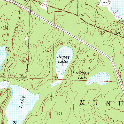 Topographic Map of Jones Lake, MI