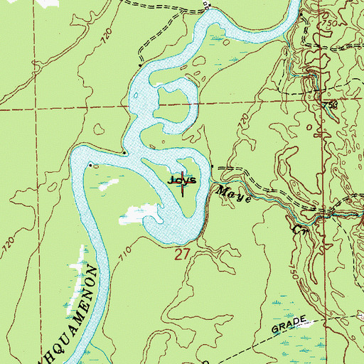 Topographic Map of Joys Island, MI
