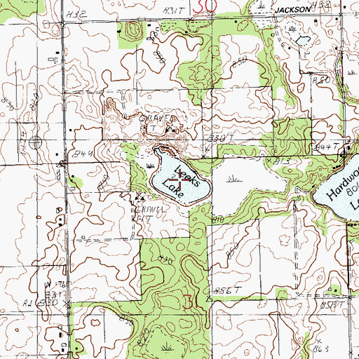 Topographic Map of Leeks Lake, MI