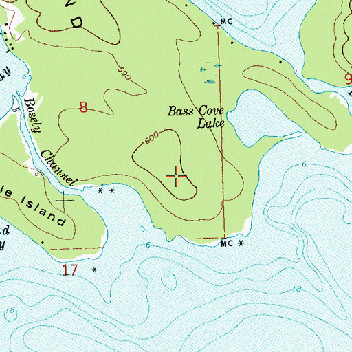 Topographic Map of Les Cheneaux Islands, MI