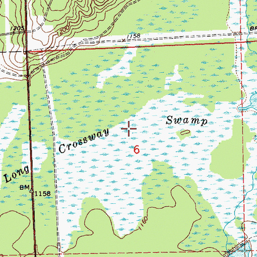 Topographic Map of Long Crossway Swamp, MI