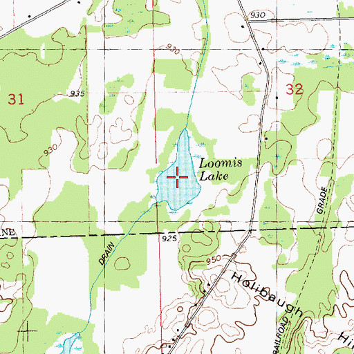 Topographic Map of Loomis Lake, MI
