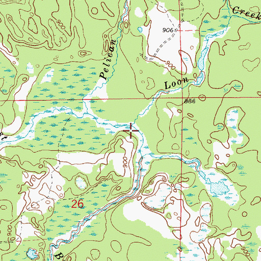 Topographic Map of Loon Creek, MI