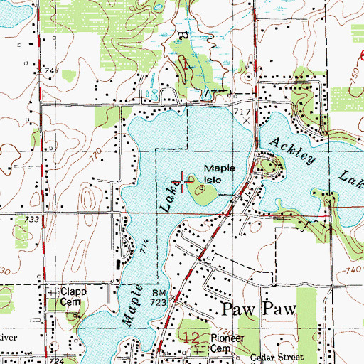 Topographic Map of Maple Island, MI