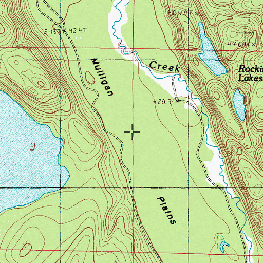 Topographic Map of Mulligan Plains, MI
