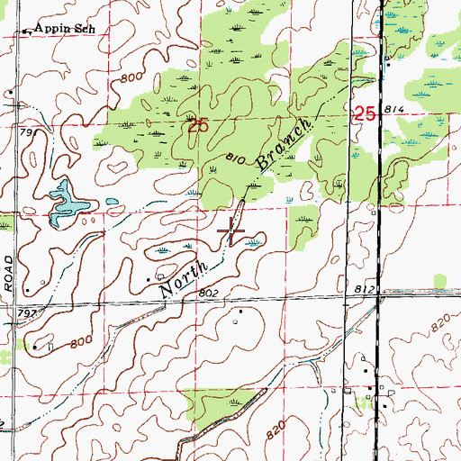 Topographic Map of North Branch Shier Drain, MI