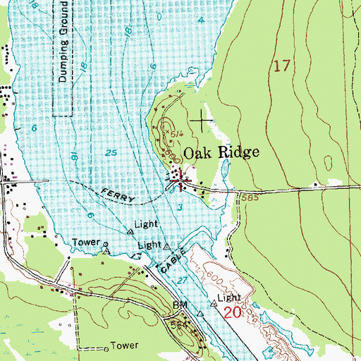 Topographic Map of Oak Ridge, MI