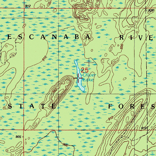 Topographic Map of Oliver Lake, MI