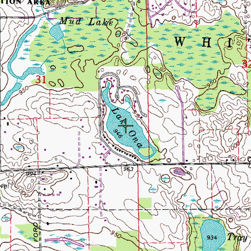 Topographic Map of Lake Ona, MI
