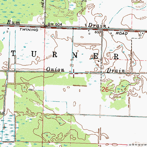 Topographic Map of Onion Drain, MI