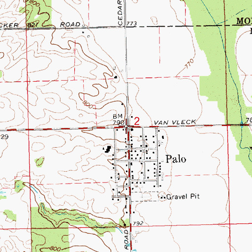 Topographic Map of Palo, MI