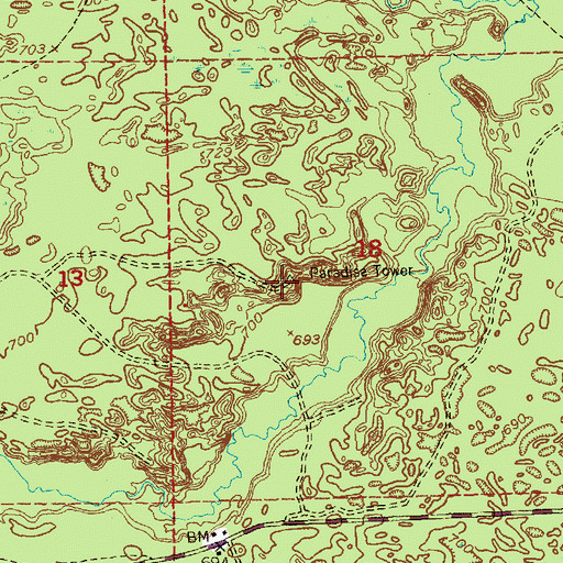 Topographic Map of Paradise Tower, MI