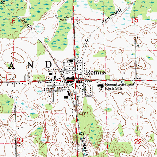 Topographic Map of Remus, MI