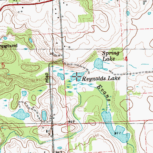 Topographic Map of Reynolds Lake, MI