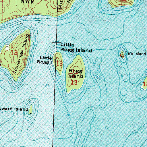 Topographic Map of Rogg Island, MI