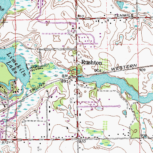 Topographic Map of Rushton, MI
