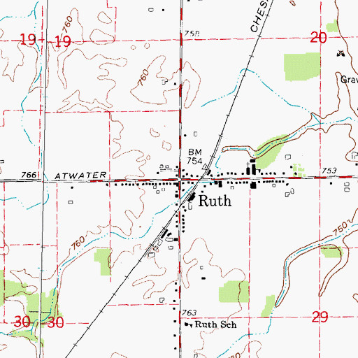 Topographic Map of Ruth, MI
