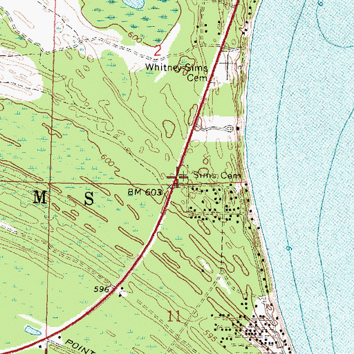 Topographic Map of Sims Cemetery, MI