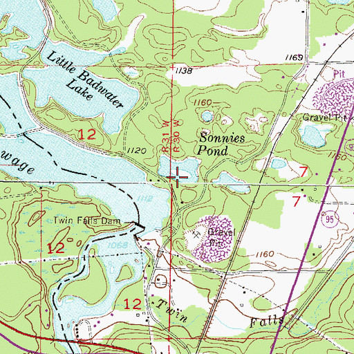Topographic Map of Sonnies Pond, MI
