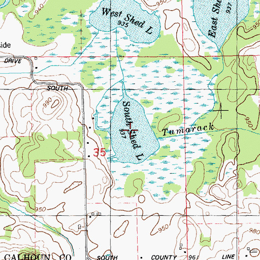 Topographic Map of South Shed Lake, MI