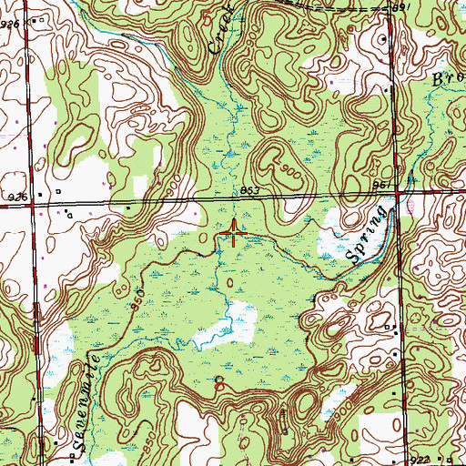 Topographic Map of Spring Brook, MI