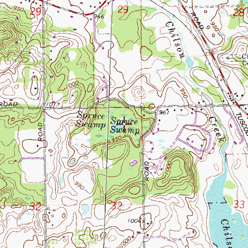 Topographic Map of Spruce Swamp, MI