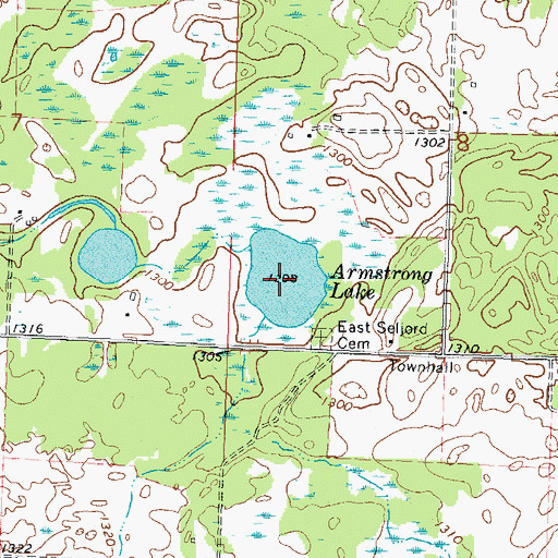 Topographic Map of Armstrong Lake, MN