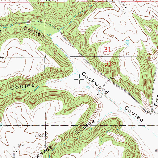 Topographic Map of Bade Coulee, MN