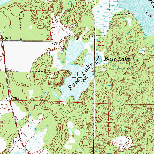 Topographic Map of Bass Lake, MN