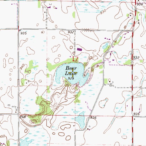 Topographic Map of Bear Lake, MN