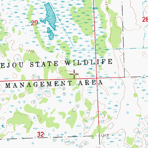 Topographic Map of Bejou State Wildlife Management Area, MN