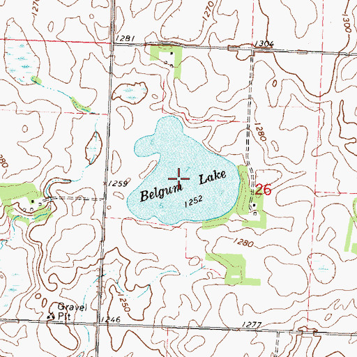 Topographic Map of Belgum Lake, MN
