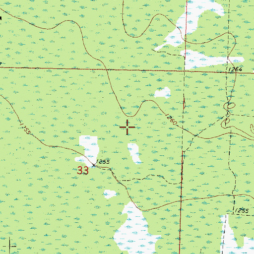 Topographic Map of Beltrami Island State Forest, MN